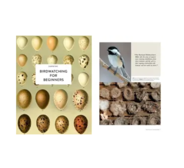 The Backyard Birdwatchers Bible by Paul Sterry